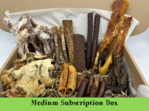 Medium treat box monthly subscription