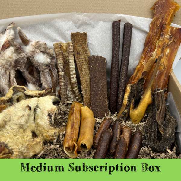 Medium treat box monthly subscription